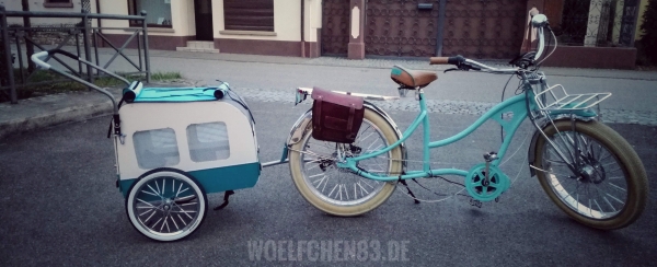 Totgesagte leben länger!